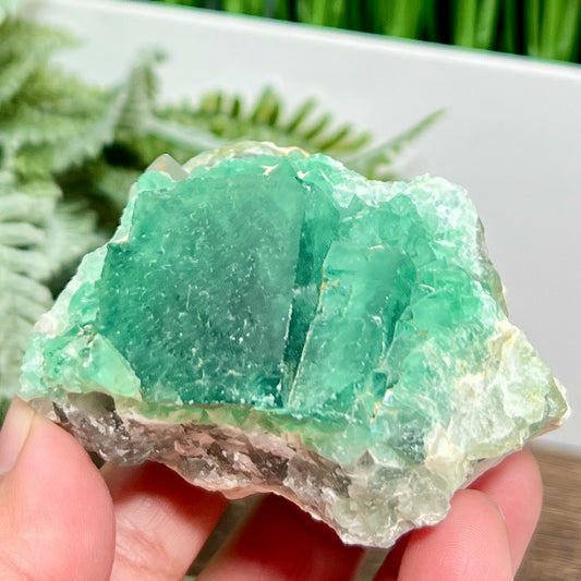 Fluorite Green Cube Cluster Natural Raw Specimen 246g