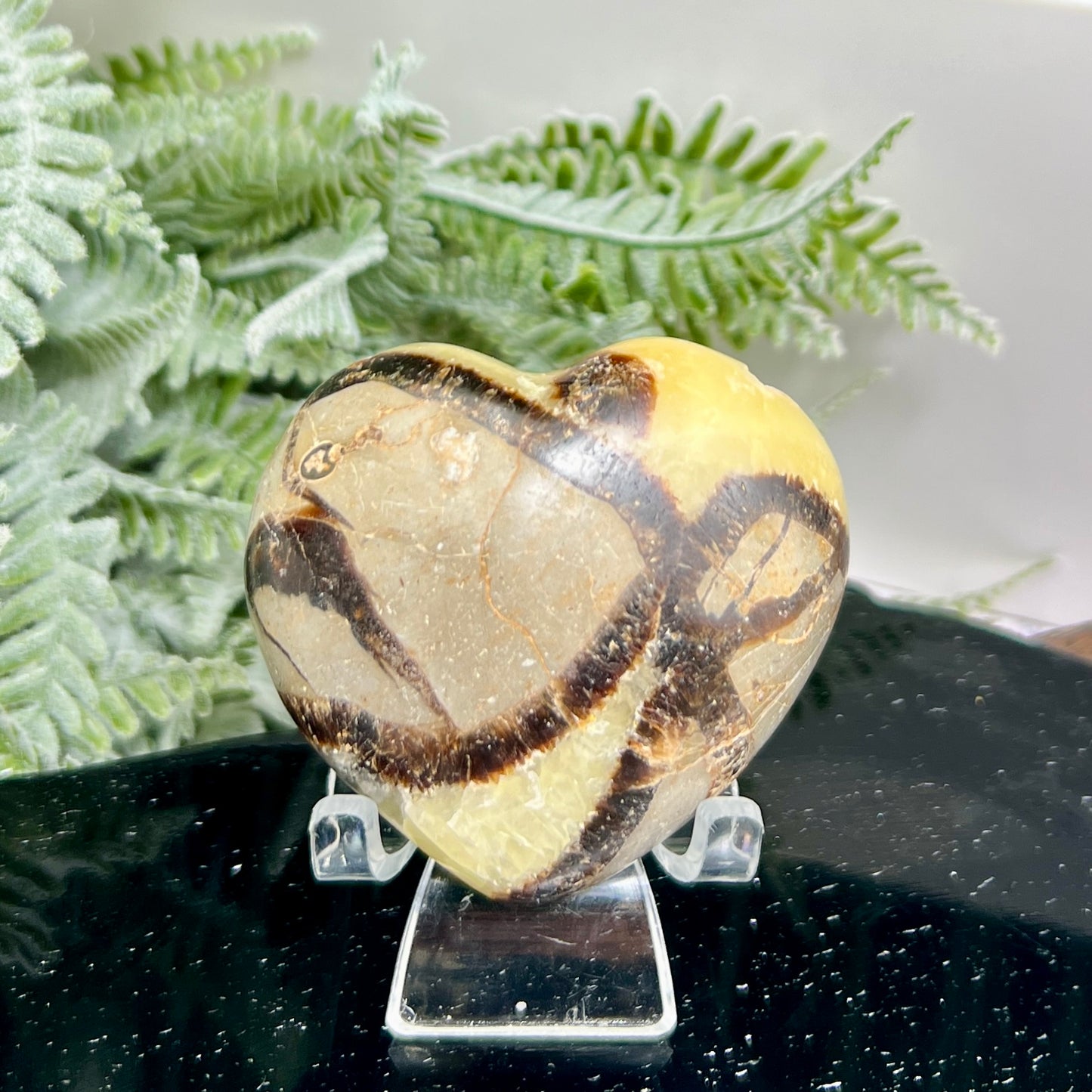 Septarian Jasper Dragon Stone Heart with Stand Healing Crystal 150g