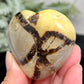 Septarian Jasper Dragon Stone Heart with Stand Healing Crystal 150g