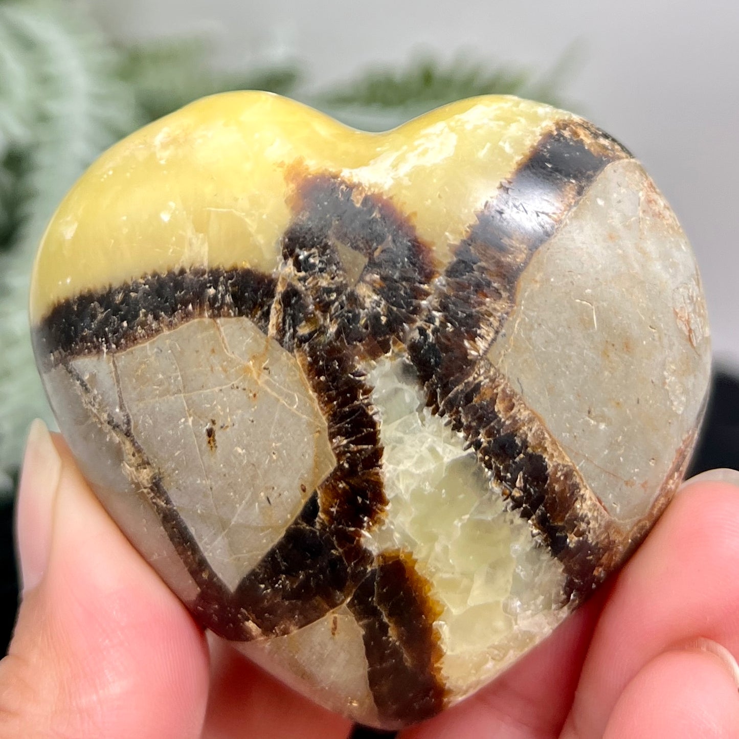 Septarian Jasper Dragon Stone Heart with Stand Healing Crystal 150g