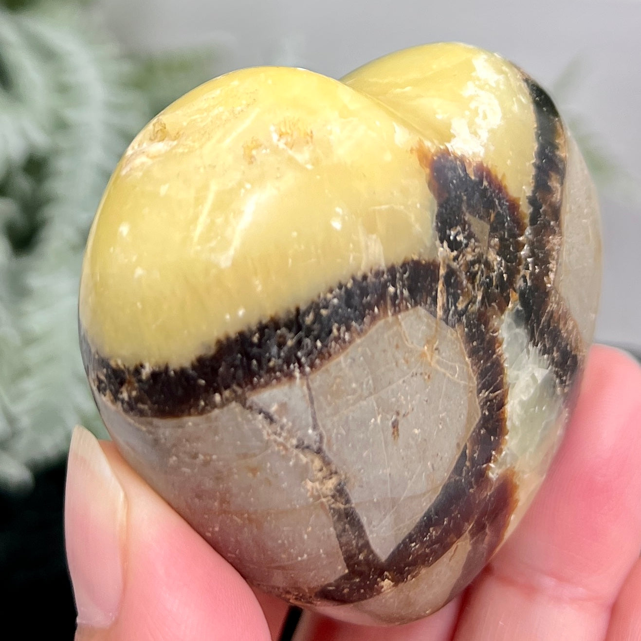 Septarian Jasper Dragon Stone Heart with Stand Healing Crystal 150g