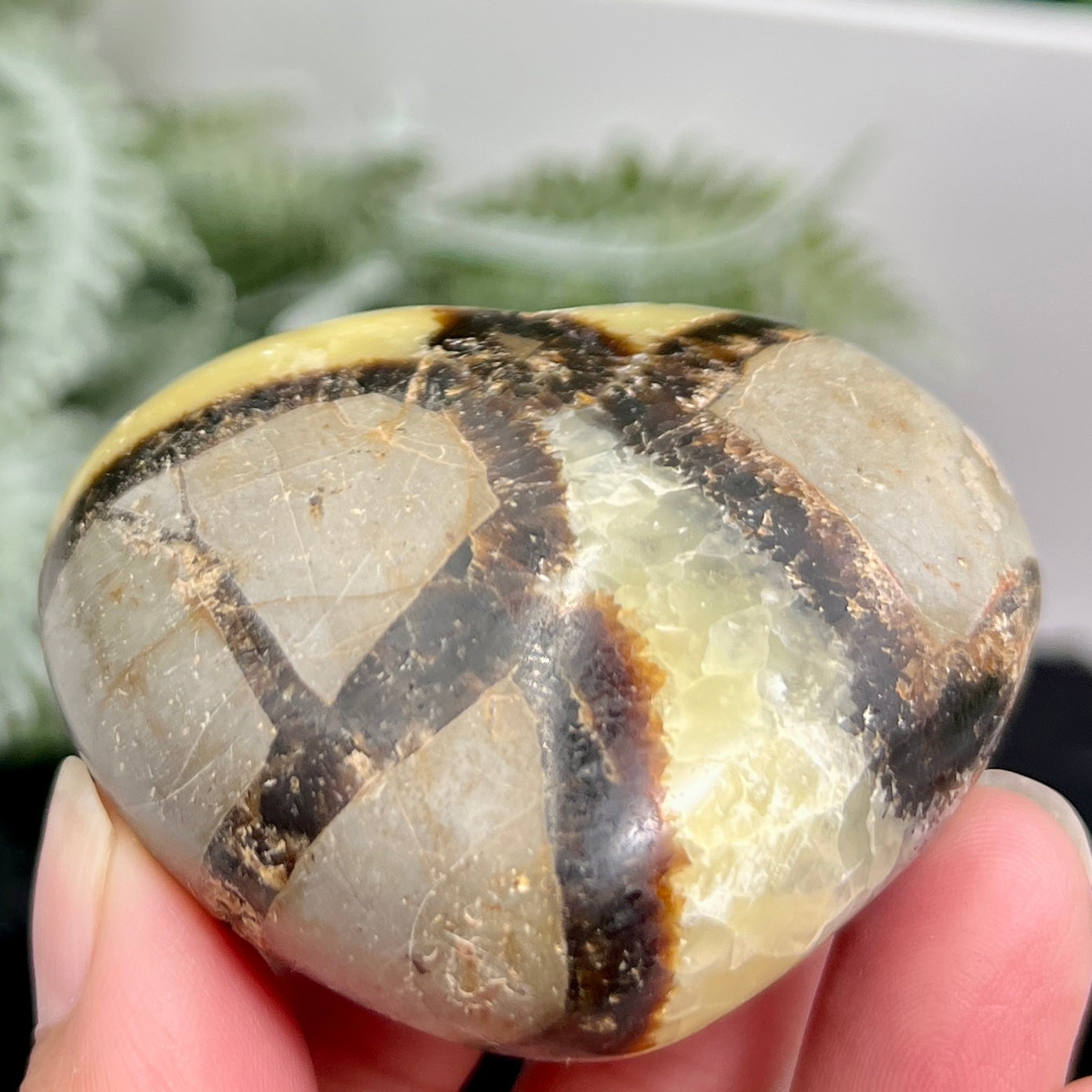 Septarian Jasper Dragon Stone Heart with Stand Healing Crystal 150g