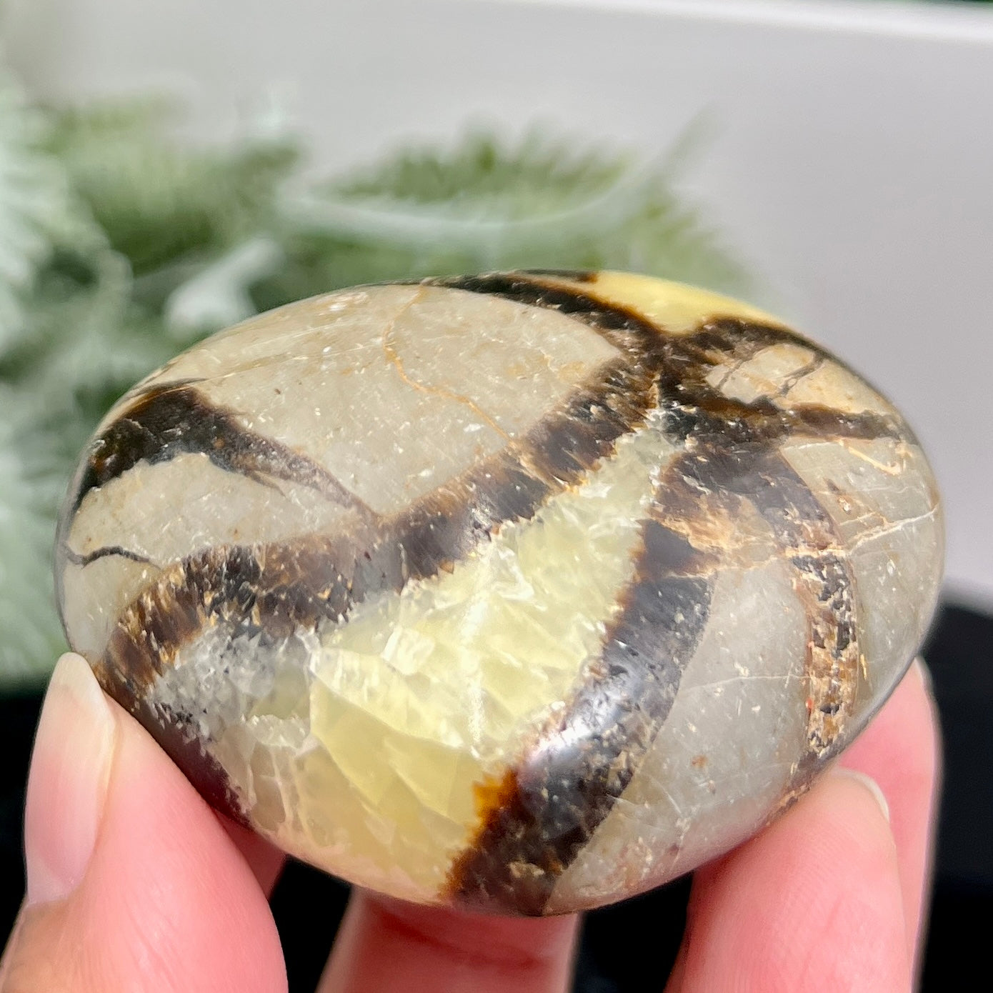 Septarian Jasper Dragon Stone Heart with Stand Healing Crystal 150g