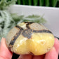 Septarian Jasper Dragon Stone Heart with Stand Healing Crystal 150g