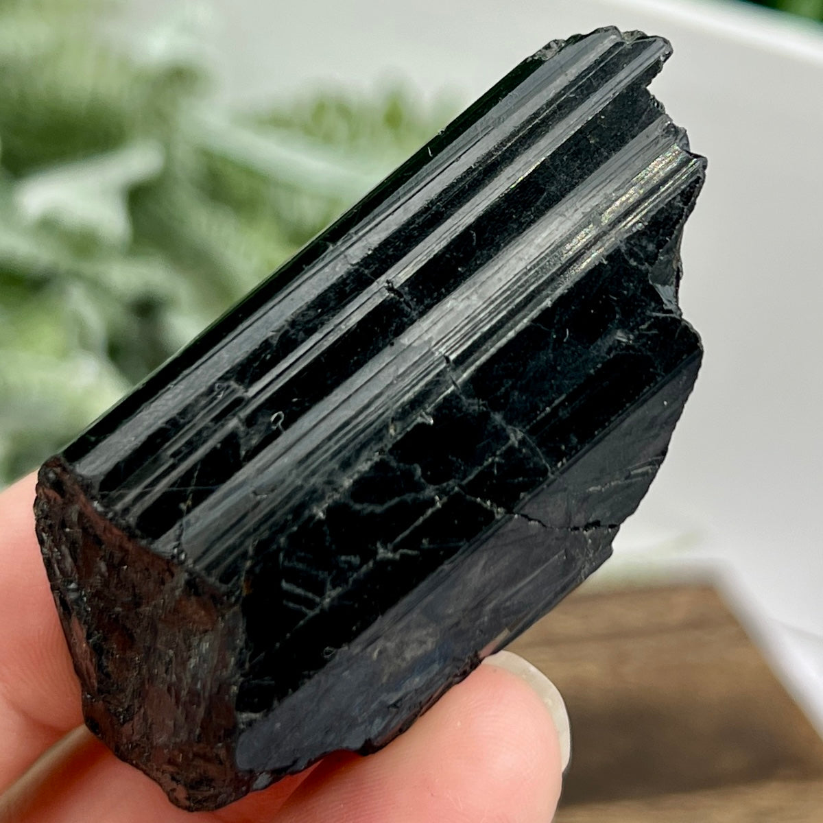 Black Tourmaline Hay Stack Raw Specimen Crystal 70g