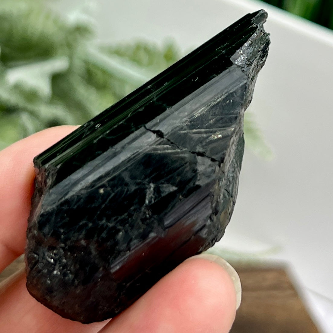 Black Tourmaline Hay Stack Raw Specimen Crystal 70g