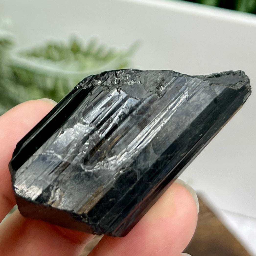 Black Tourmaline Hay Stack Raw Specimen Crystal 70g