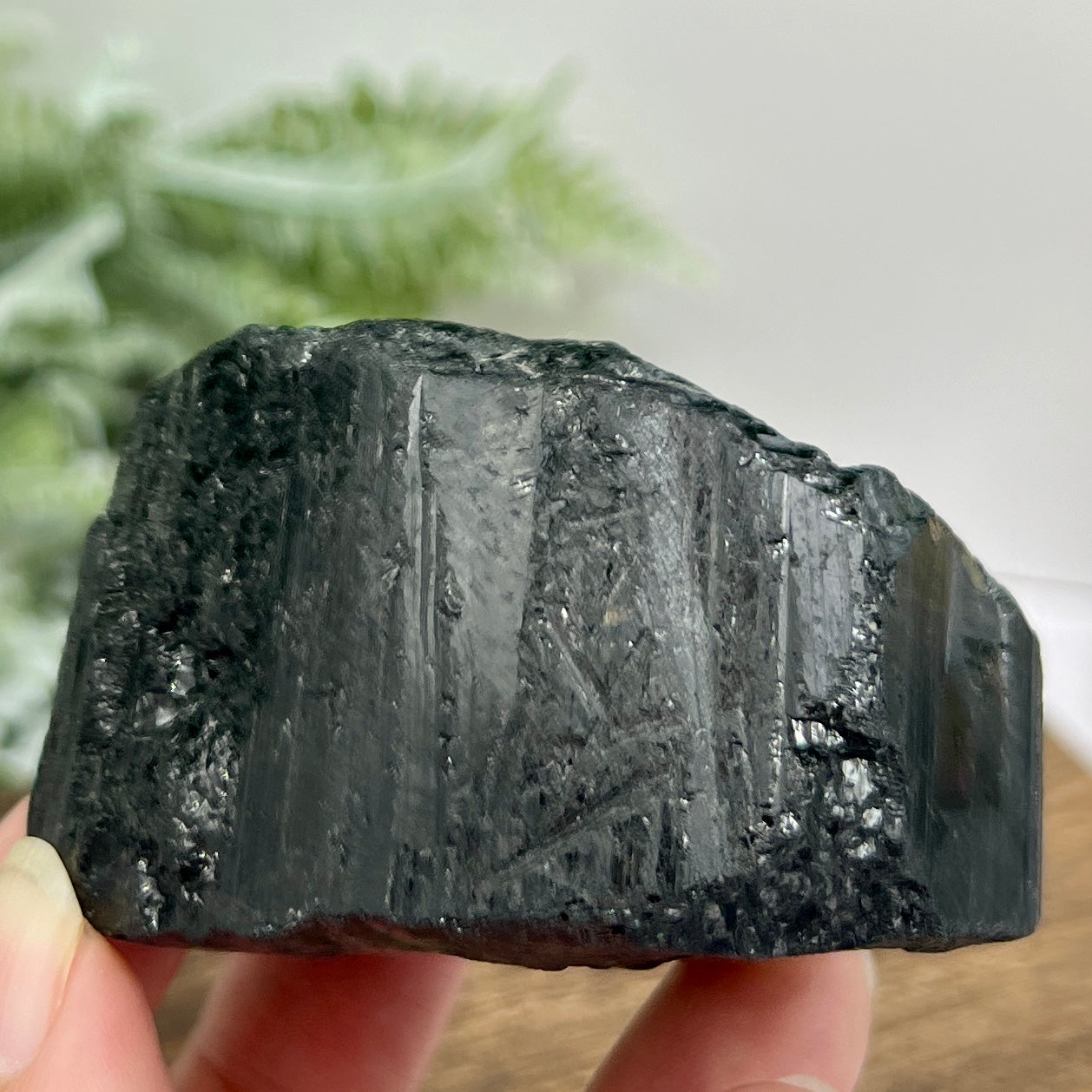 Black Tourmaline Raw Specimen Crystal 232g