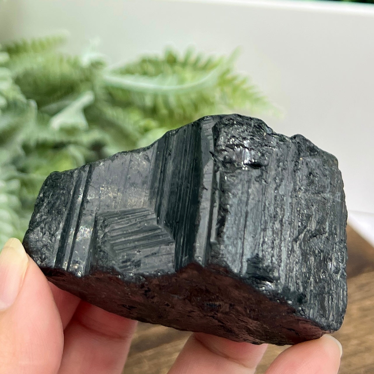 Black Tourmaline Raw Specimen Crystal 232g