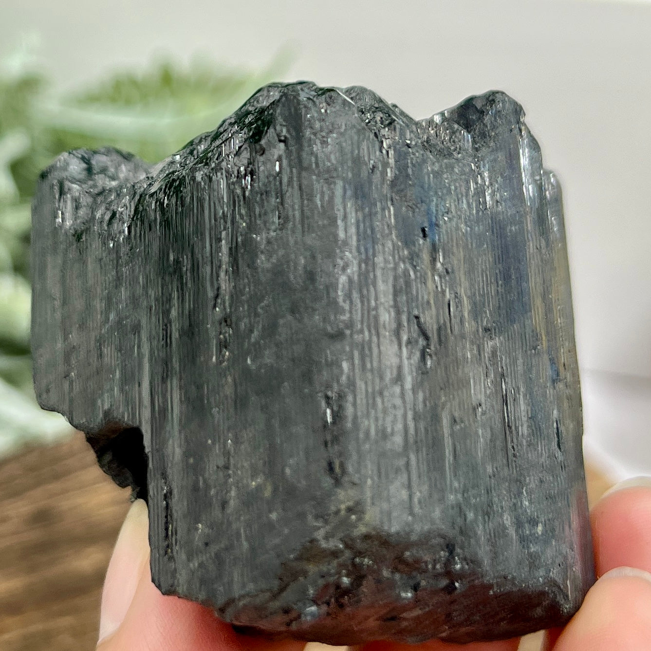 Black Tourmaline Hay Stack Raw Specimen Crystal 246g