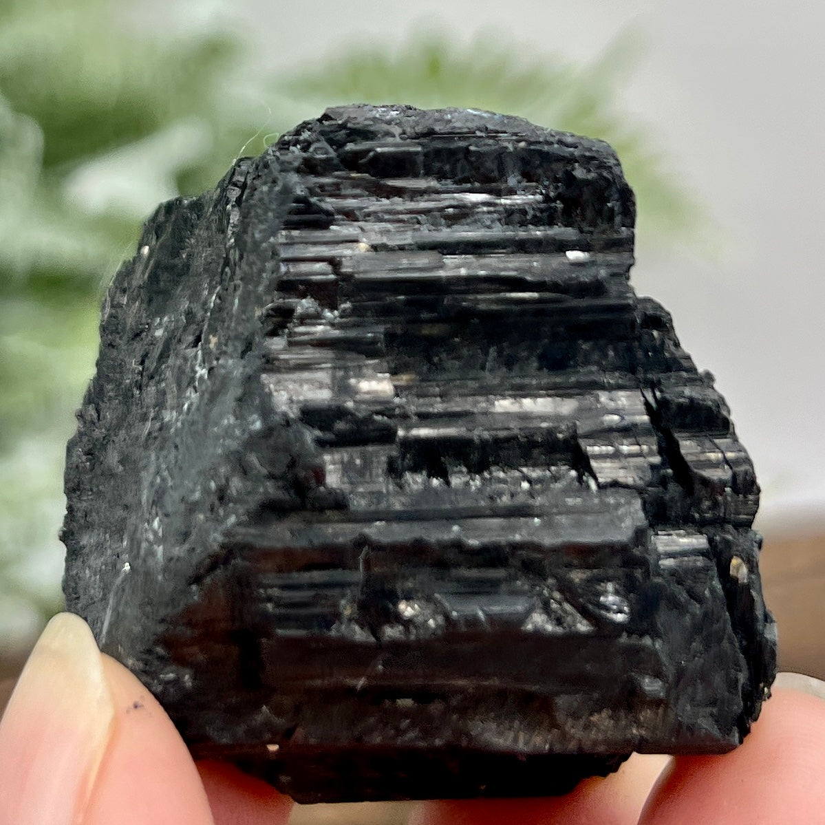 Black Tourmaline Hay Stack Raw Specimen Crystal 86g