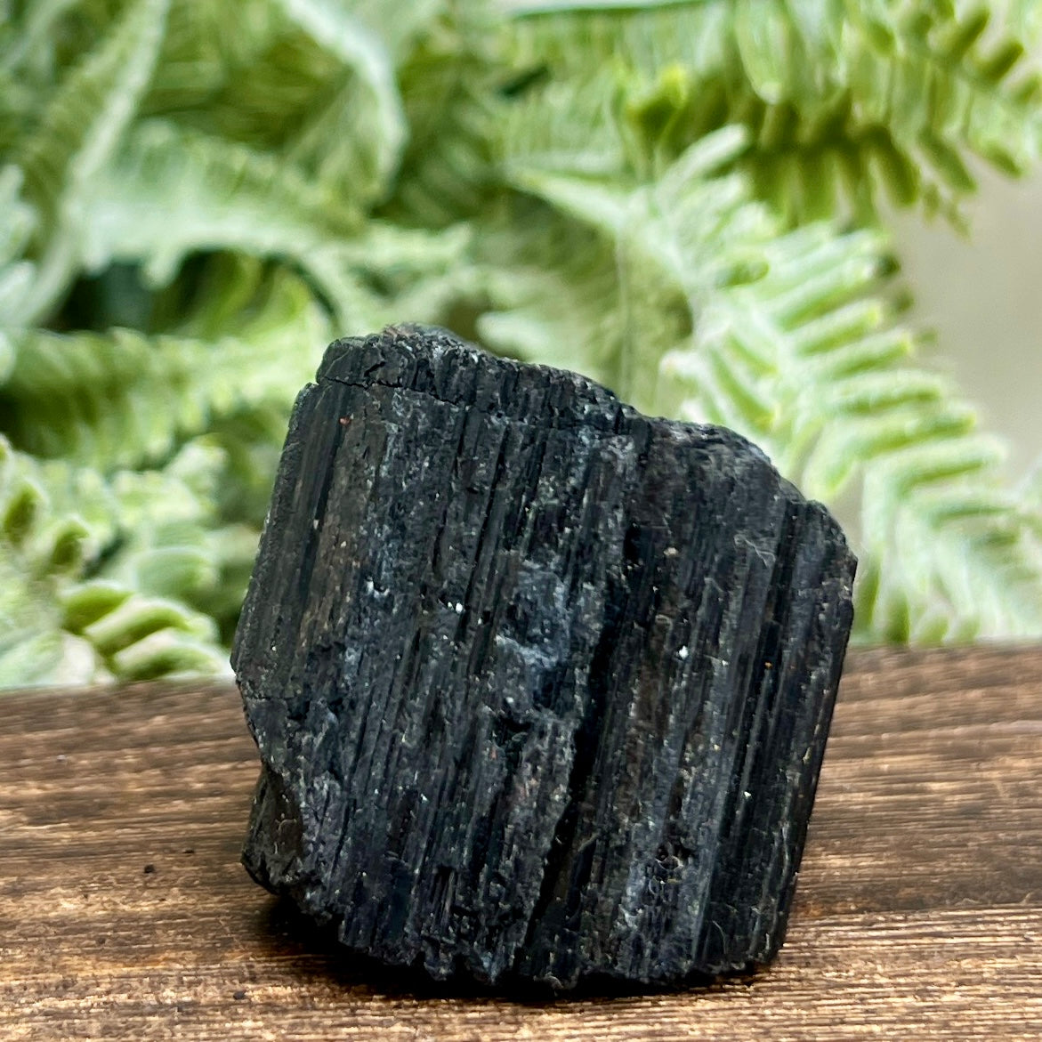 Black Tourmaline Hay Stack Raw Specimen Crystal 86g