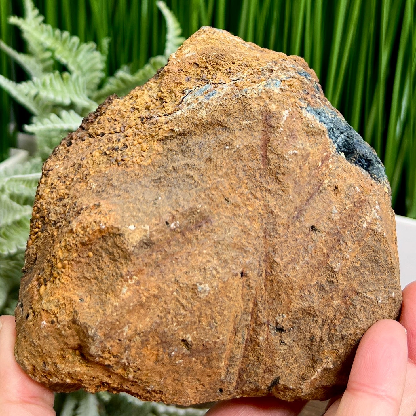 Vivianite Specimen Rare Natural Crystal 1022g