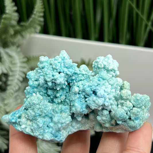 Hemimorphite Botryoidal Raw Specimen Healing Crystal 162g