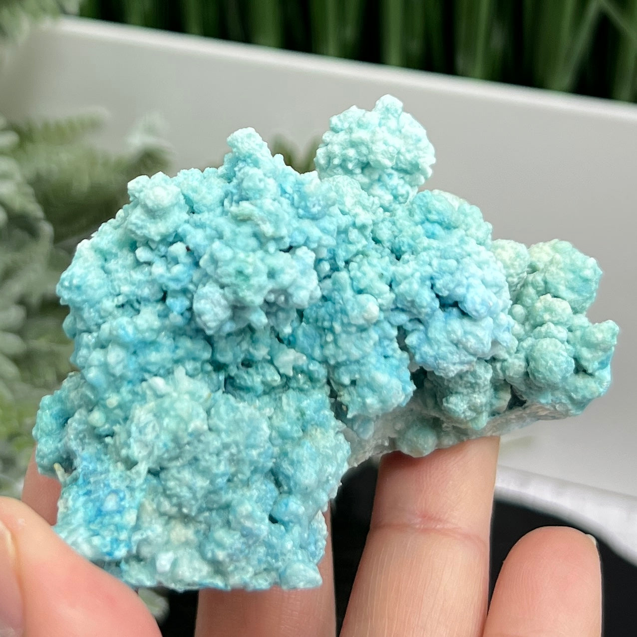 Hemimorphite Botryoidal Raw Specimen Healing Crystal 162g