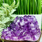 Amethyst Cluster High Quality Crystal Cluster Natural Specimen 2930g