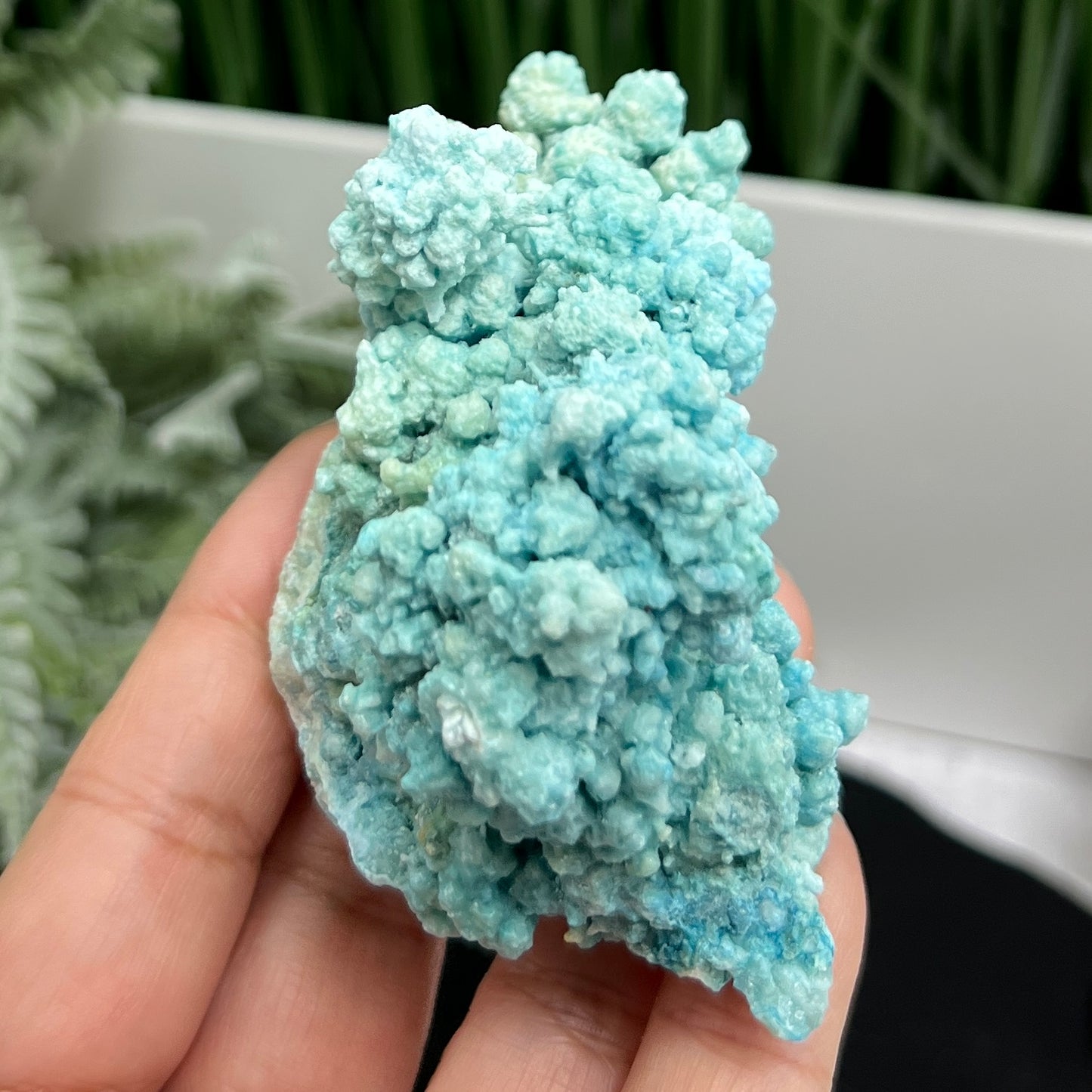 Hemimorphite Botryoidal Raw Specimen Healing Crystal 162g