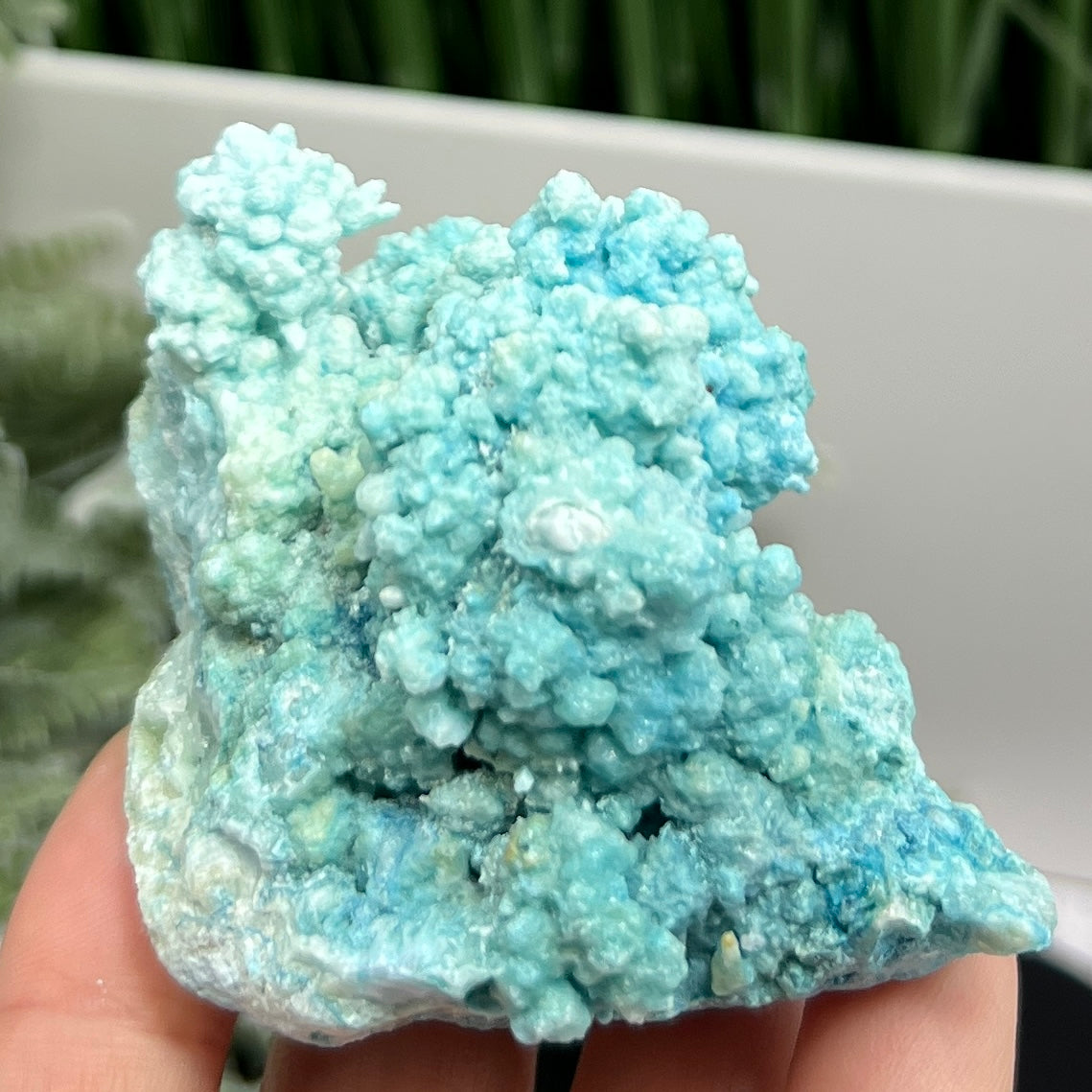 Hemimorphite Botryoidal Raw Specimen Healing Crystal 162g