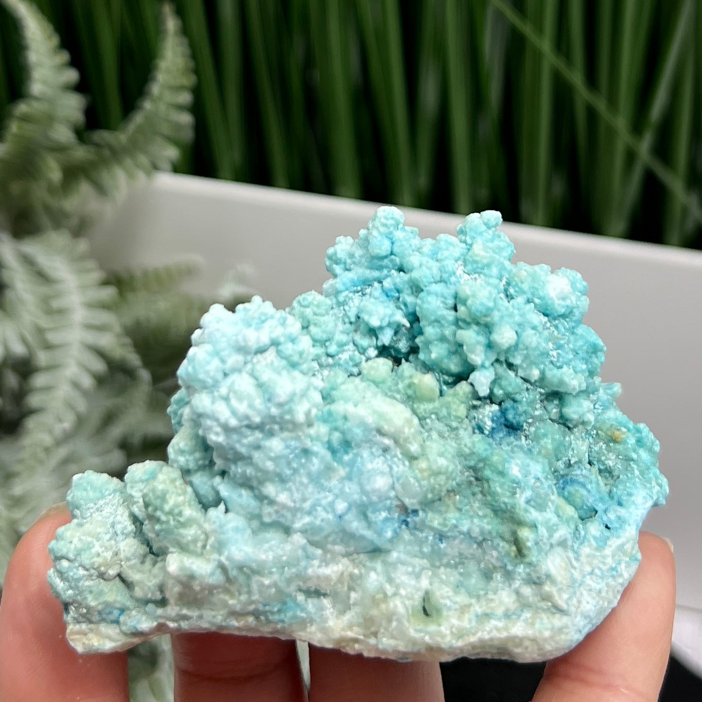 Hemimorphite Botryoidal Raw Specimen Healing Crystal 162g