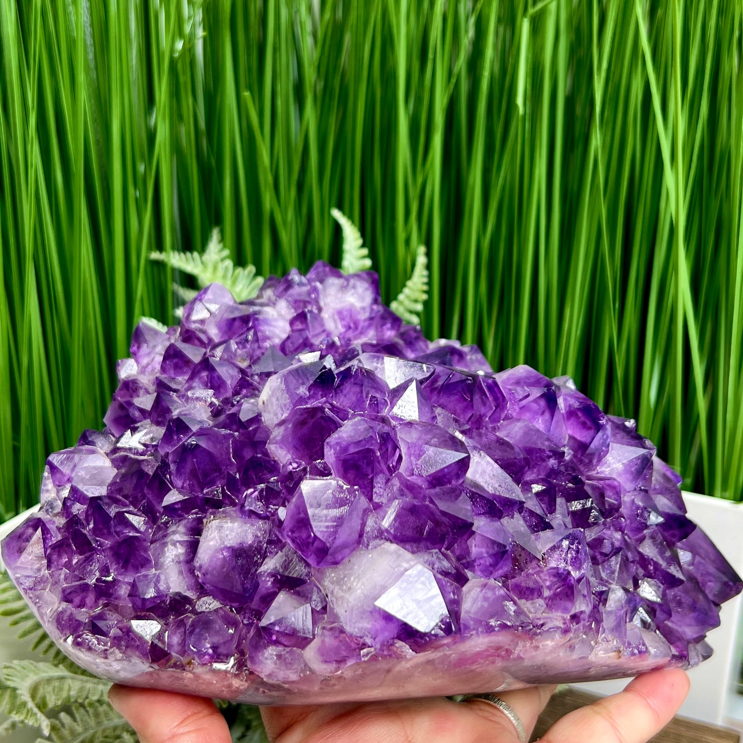 Amethyst Cluster High Quality Crystal Cluster Natural Specimen 2930g