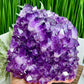 Amethyst Cluster High Quality Crystal Cluster Natural Specimen 2930g