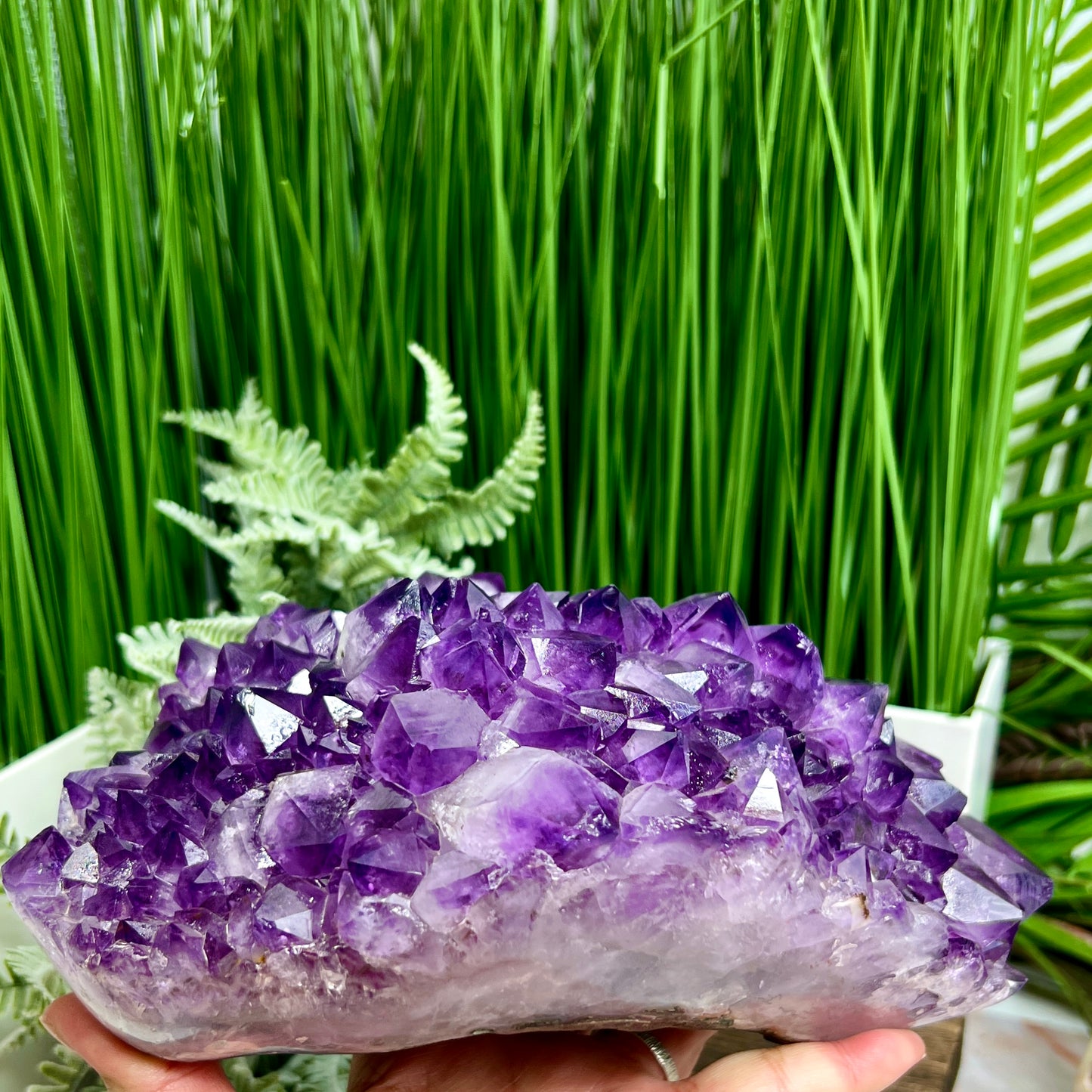 Amethyst Cluster High Quality Crystal Cluster Natural Specimen 2930g