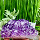 Amethyst Cluster High Quality Crystal Cluster Natural Specimen 2930g