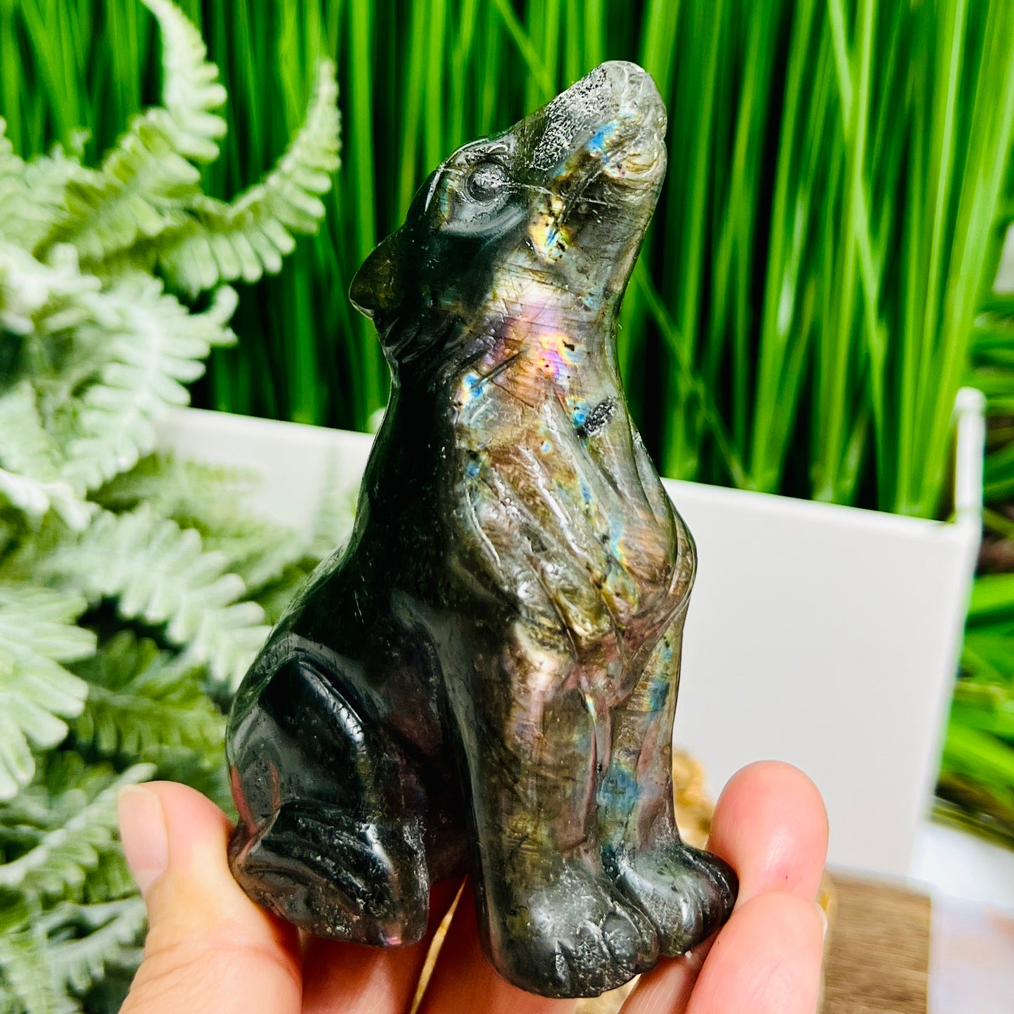 Labradorite Howling Wolf Healing Crystal Animal Carving 260g