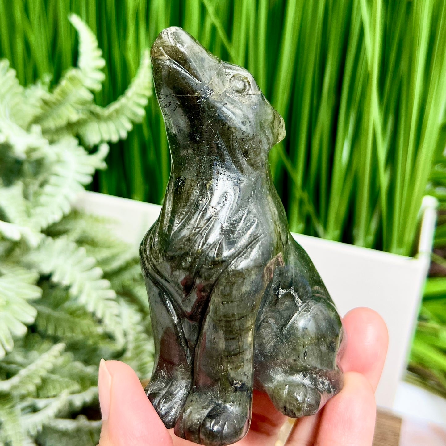 Labradorite Howling Wolf Healing Crystal Animal Carving 260g