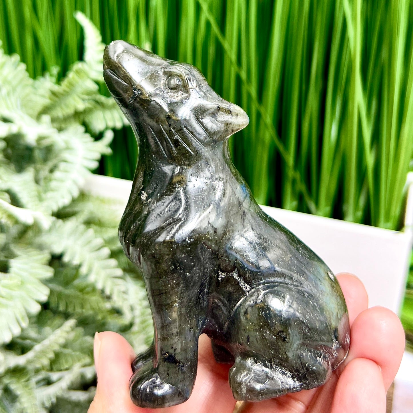 Labradorite Howling Wolf Healing Crystal Animal Carving 260g