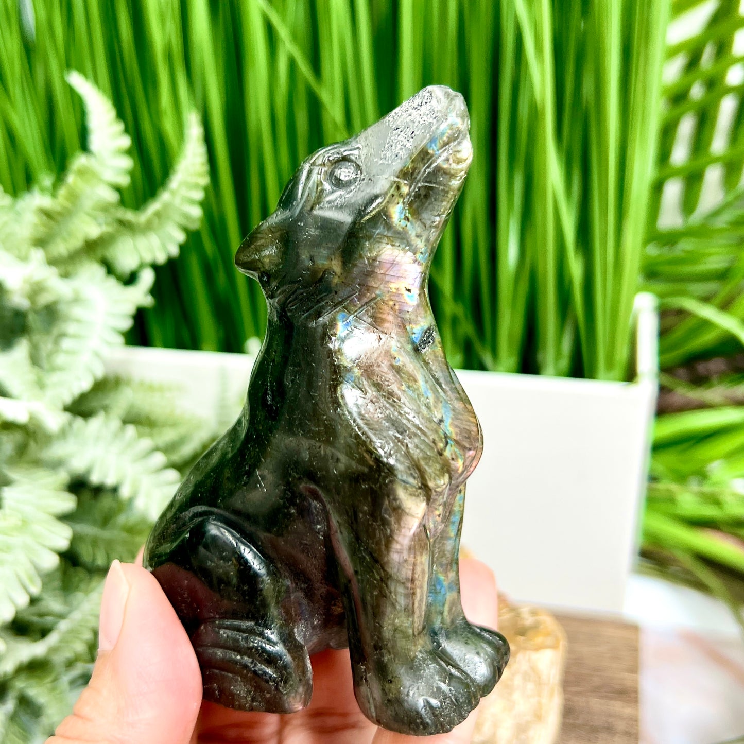 Labradorite Howling Wolf Healing Crystal Animal Carving 260g