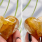 Golden Healer Quartz Hearts Crystal Carvings