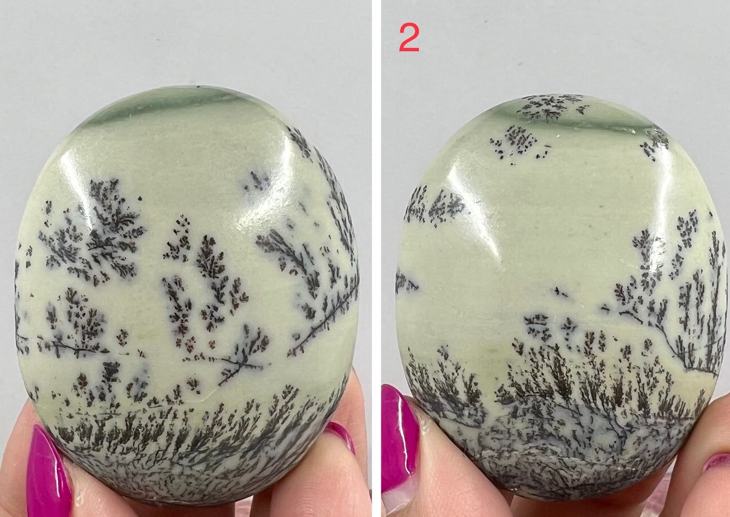 Dendritic Jasper Palm Stone Reiki Worry Natural Meditation Crystal