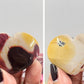 Natural Mookaite Jasper Love Heart Australian Gemstone Carved Crystal