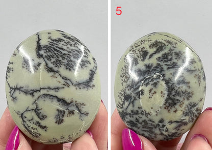 Dendritic Jasper Palm Stone Reiki Worry Natural Meditation Crystal