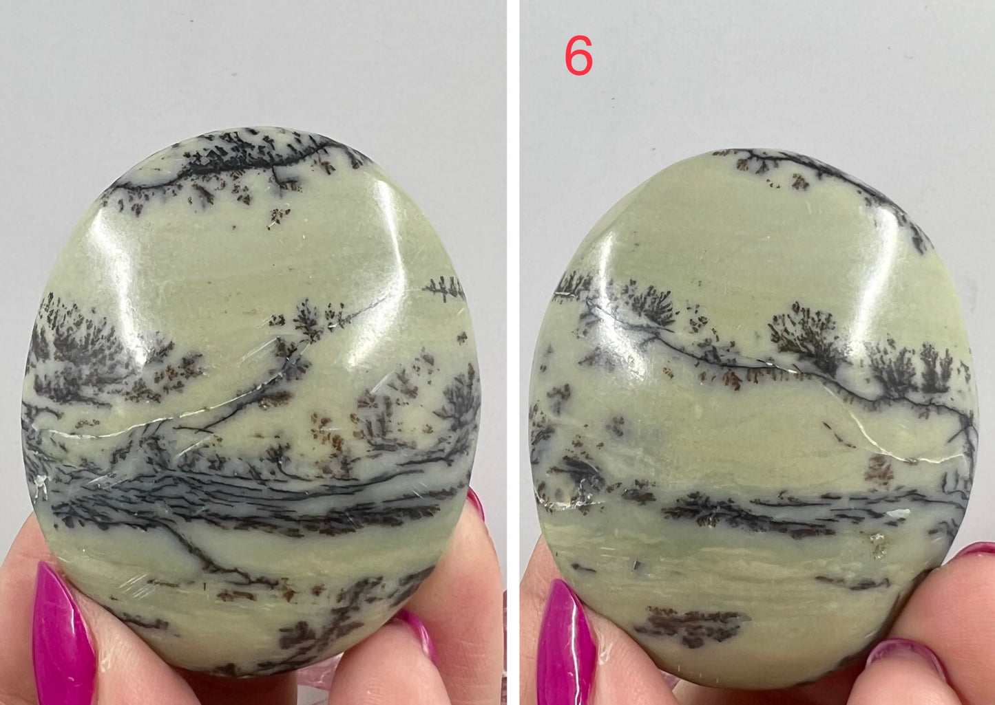 Dendritic Jasper Palm Stone Reiki Worry Natural Meditation Crystal