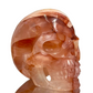 Hematoid Fire Quartz Hollow Jaw Skull Healing Crystal Carving 570g