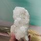 Apophyllite Cluster Natural Specimen Sparkly Crystal Australian Seller