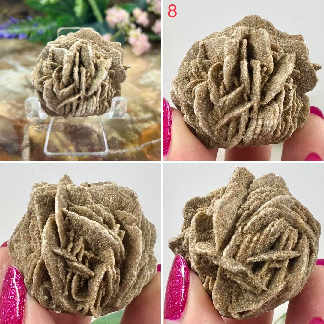 Desert Rose Calcite Specimens Natural Crystal