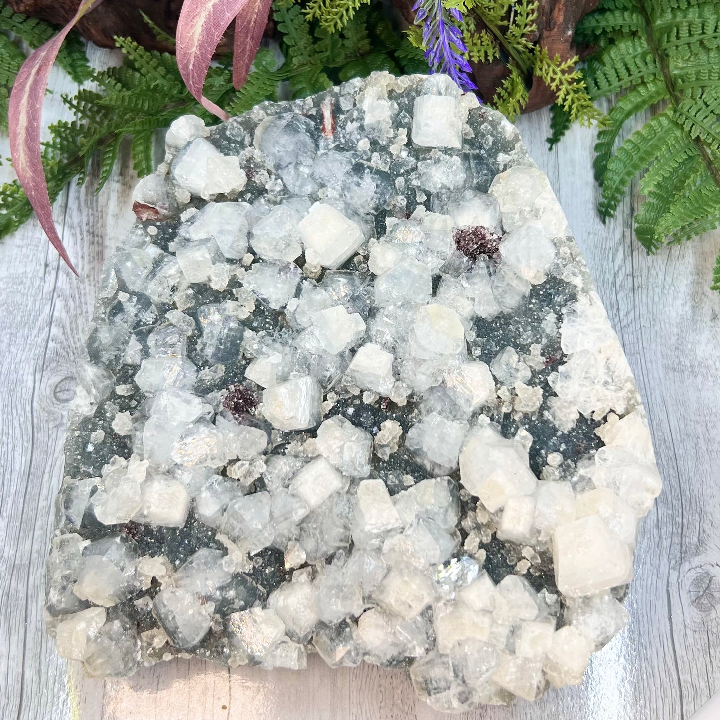 Large Apophyllite Cluster 2437g Specimen