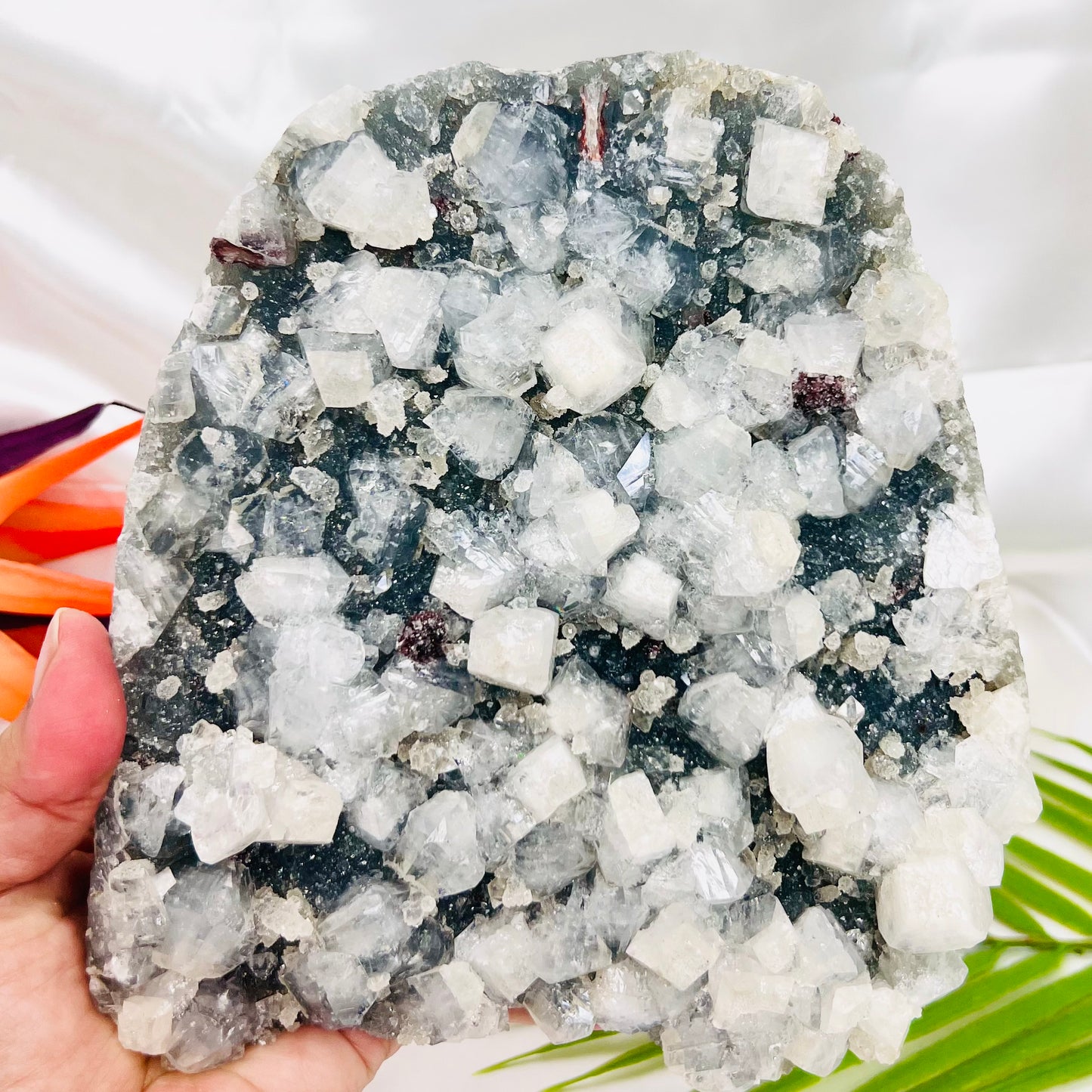 Large Apophyllite Cluster 2437g Specimen