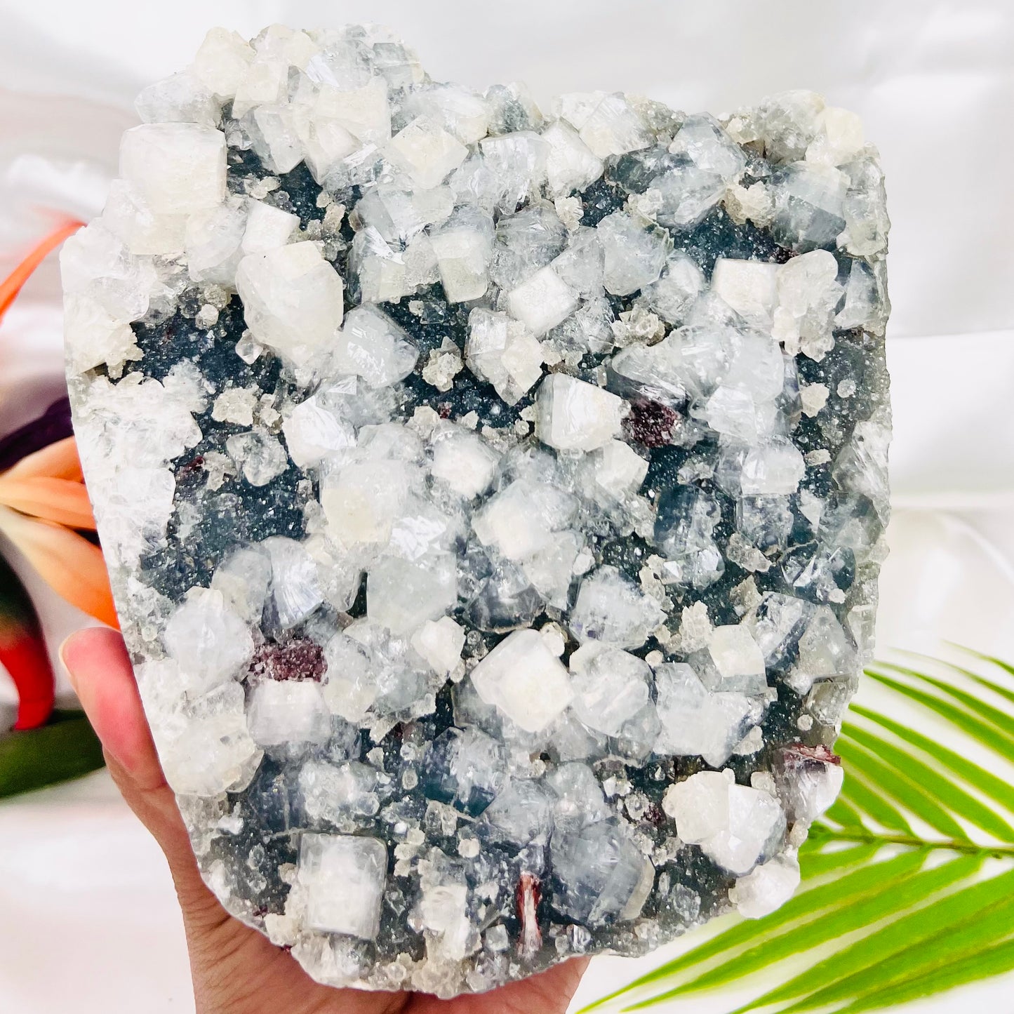 Large Apophyllite Cluster 2437g Specimen