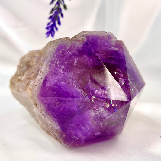 Large Amethyst Root Half Polished Natural Crystal Specimen 595g