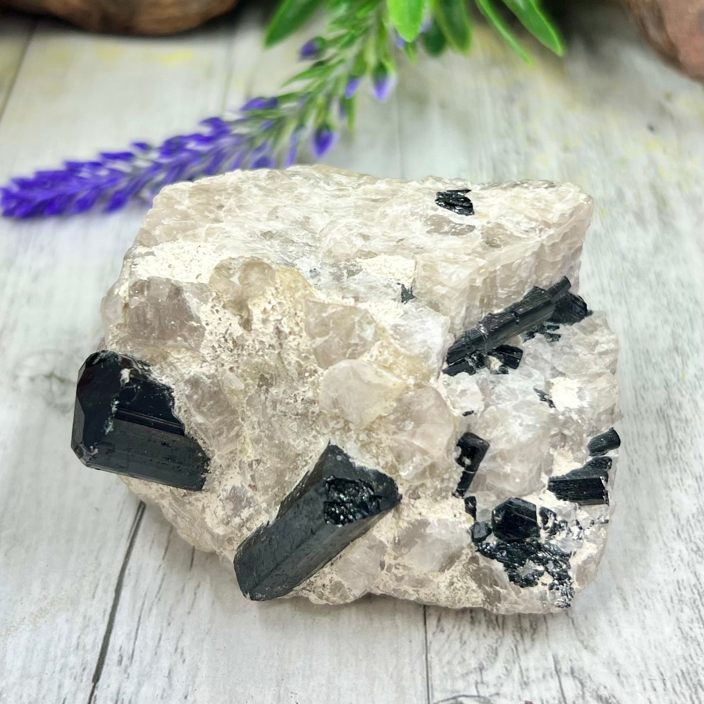 Black Tourmaline in Quartz Specimen Raw Crystal Specimen Australian Seller