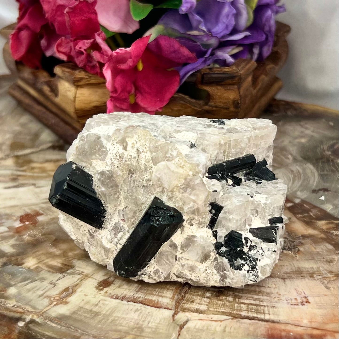 Black Tourmaline in Quartz Specimen Raw Crystal Specimen Australian Seller