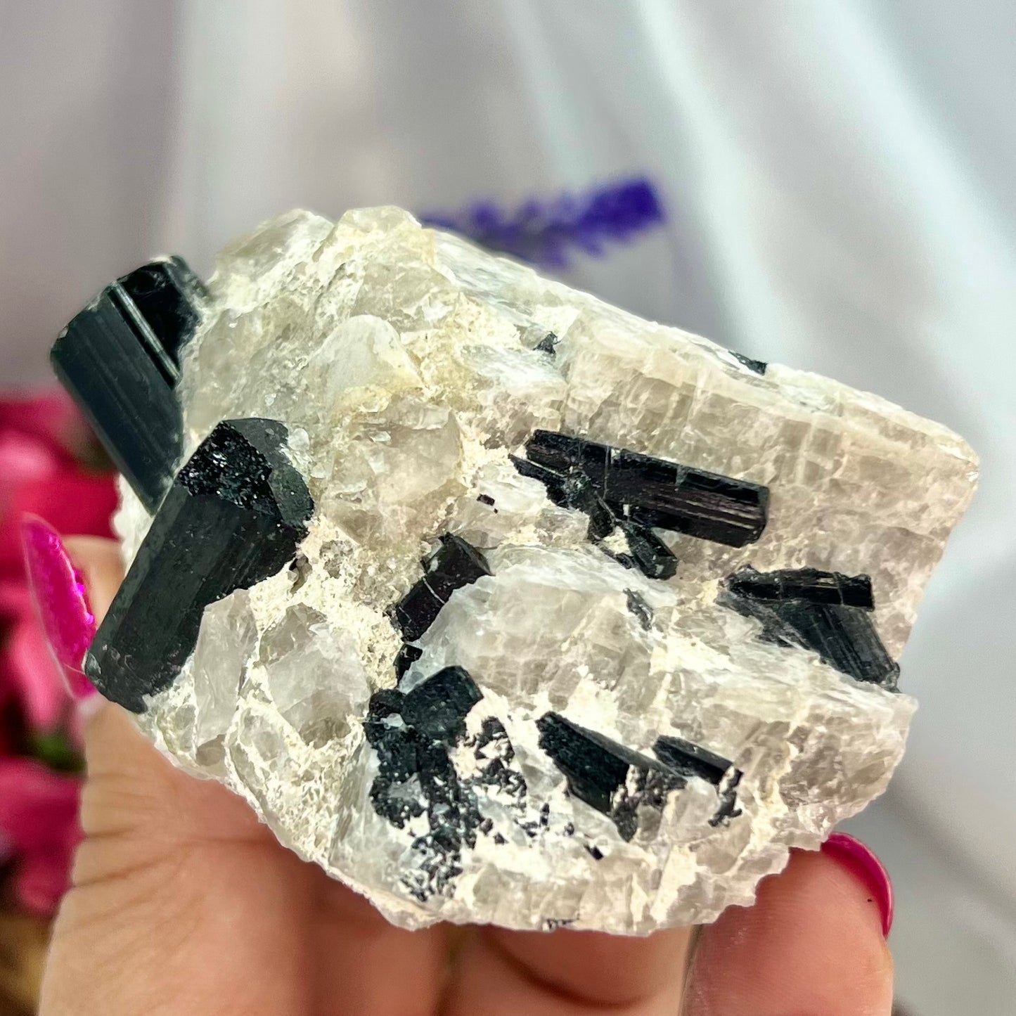 Black Tourmaline in Quartz Specimen Raw Crystal Specimen Australian Seller