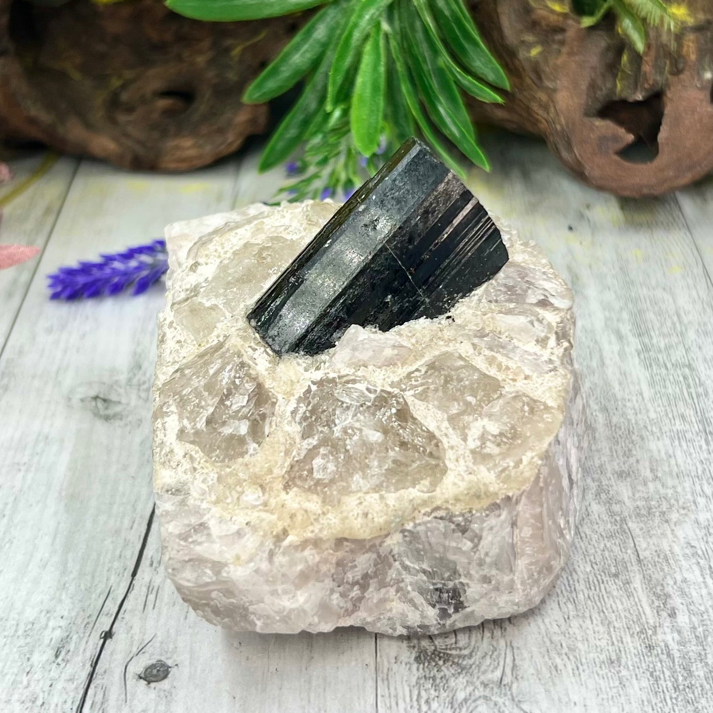 Black Tourmaline in Quartz Specimen Raw Crystal Specimen Australian Seller