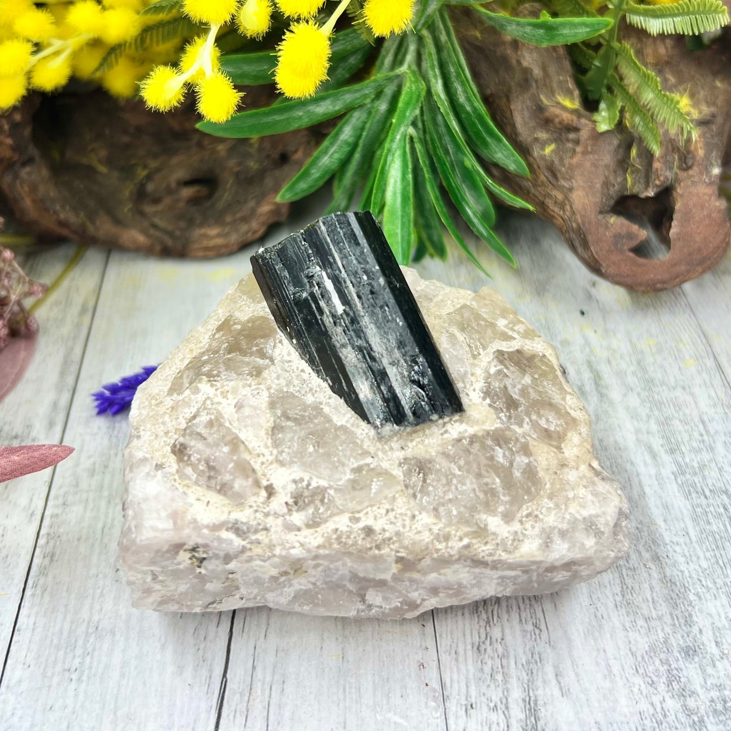 Black Tourmaline in Quartz Specimen Raw Crystal Specimen Australian Seller