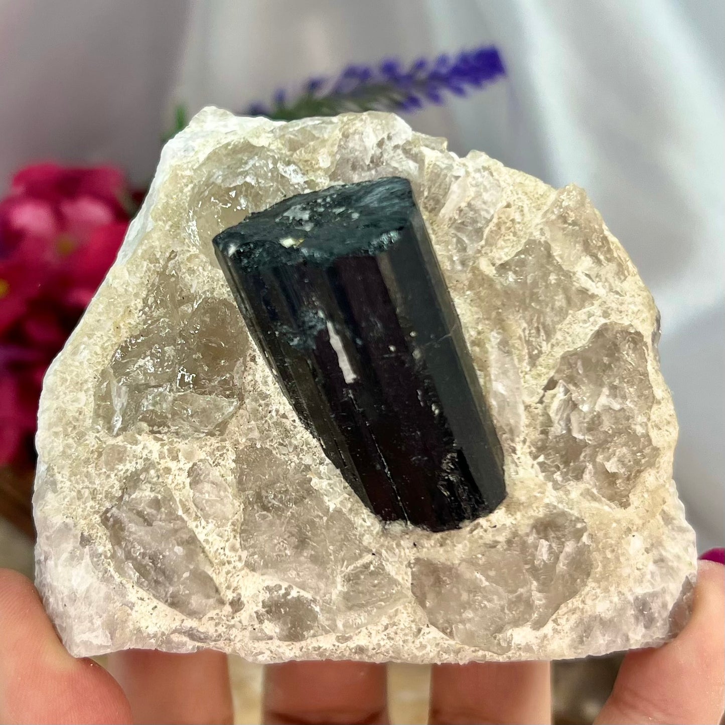 Black Tourmaline in Quartz Specimen Raw Crystal Specimen Australian Seller