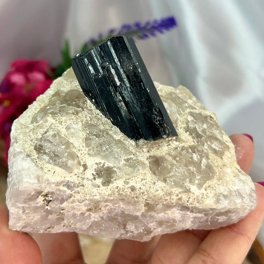 Black Tourmaline in Quartz Specimen Raw Crystal Specimen Australian Seller